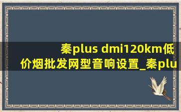 秦plus dmi120km(低价烟批发网)型音响设置_秦plusdmi120km(低价烟批发网)音响怎么调